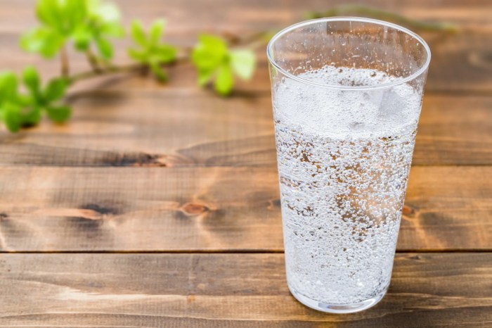 Diy sparkling water