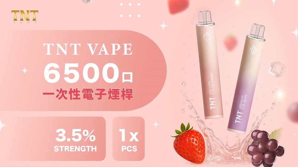 TNT 6500口拋棄式電子煙