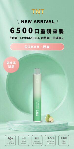 TNT 6500口拋棄式電子煙-芭樂