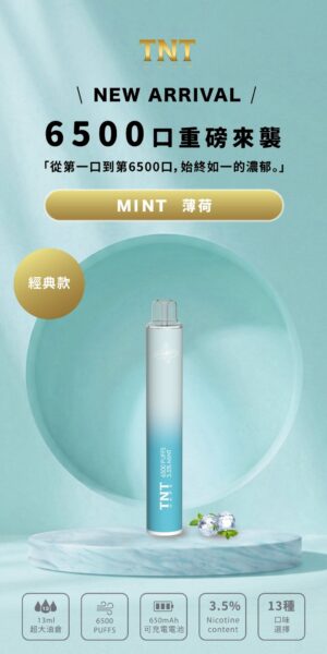 TNT 6500口拋棄式電子煙-薄荷