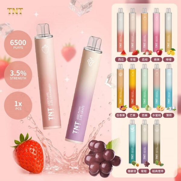 TNT 6500口拋棄式電子煙
