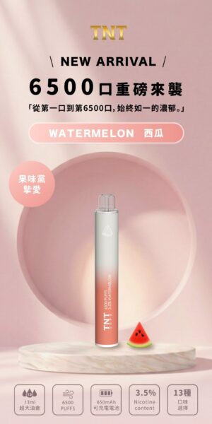 TNT 6500口拋棄式電子煙-西瓜