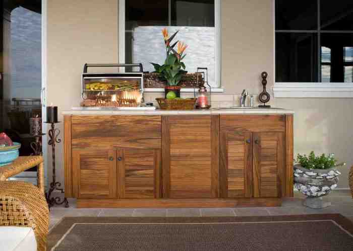 Diy outdoor kitchen cabinets