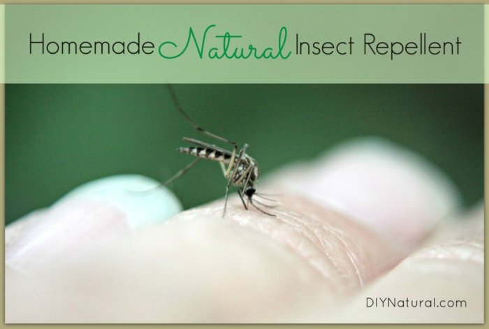 Mosquito repellent diy