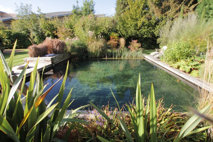 Piscine construire maison oui seul