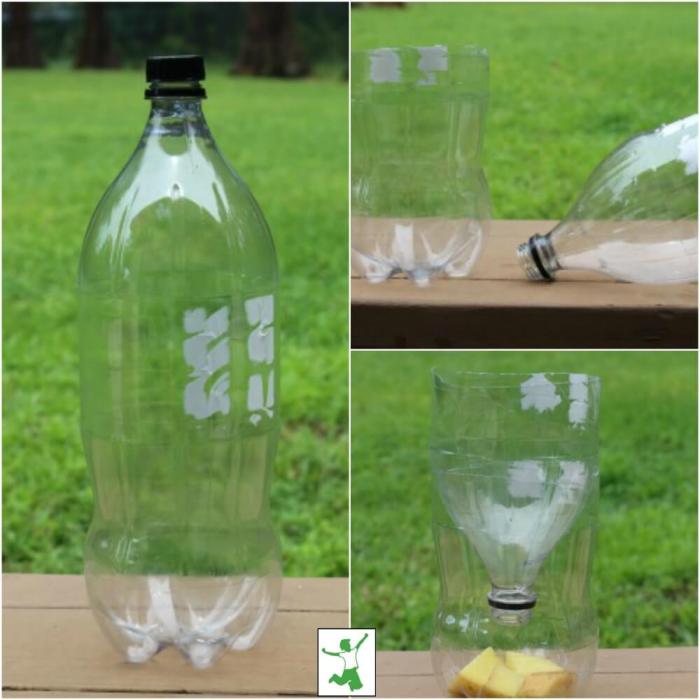 Diy wasp catcher