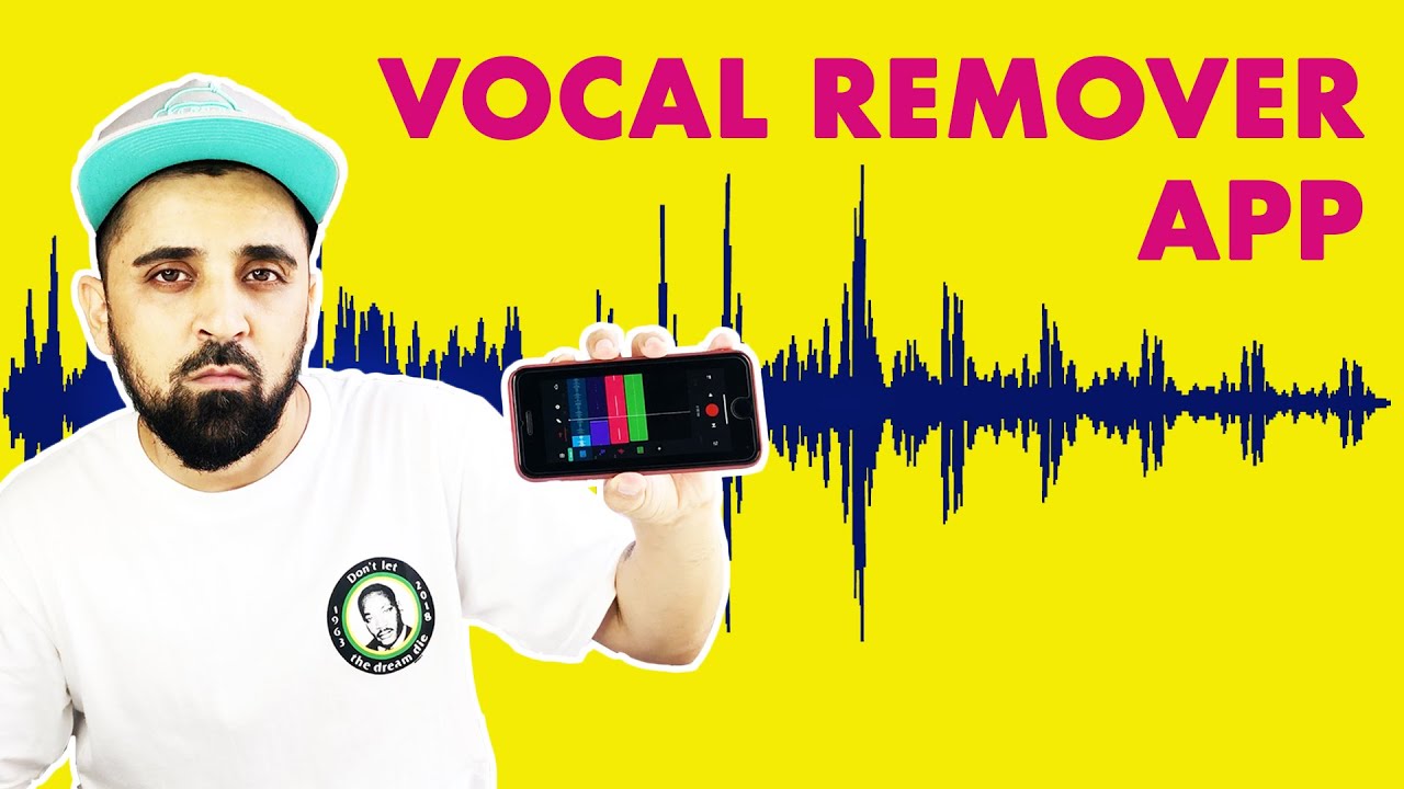 Vocal remover online