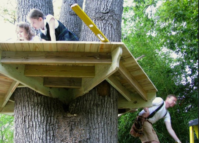 Diy tree forts